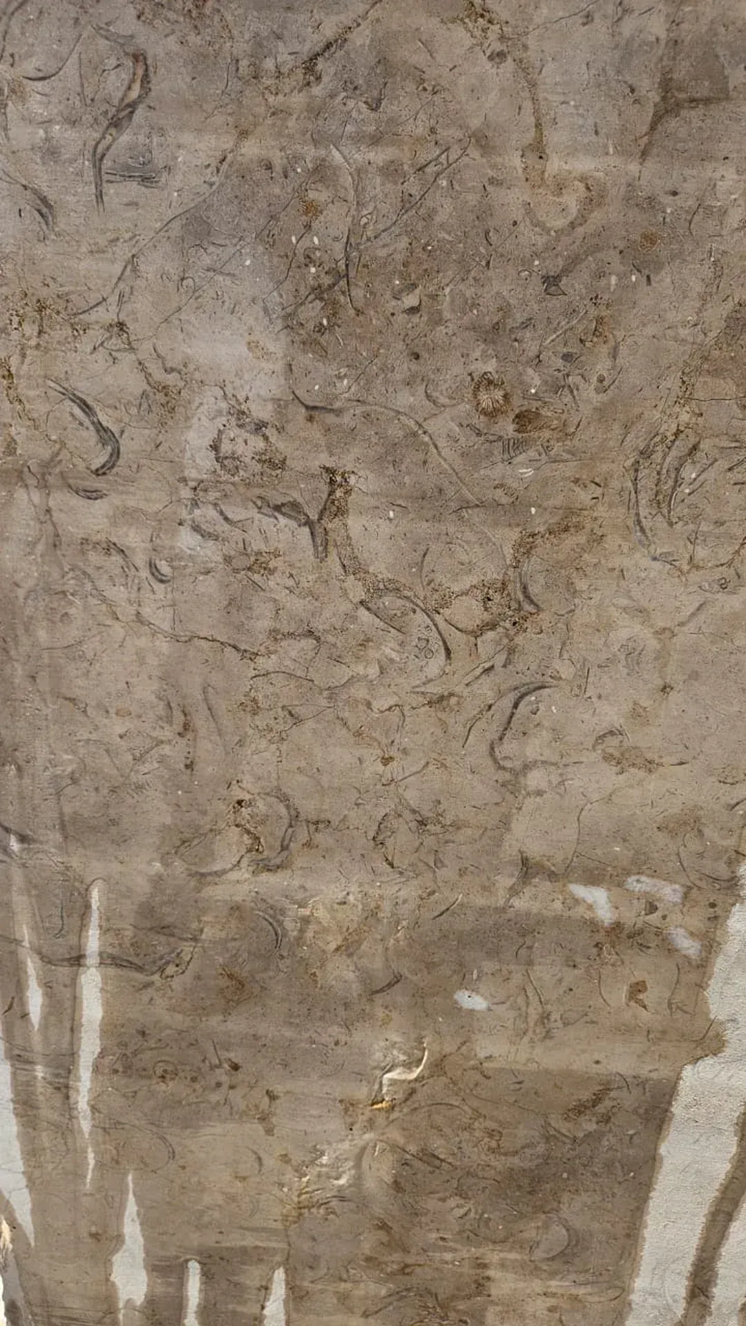 Marbles - Premium Premium natural marble stones with elegant patterns and superior quality, perfect for luxury construction and interior design applications. - High quality construction materials from Egypt, Code: 76999106800104, ISO certified with international export capabilities